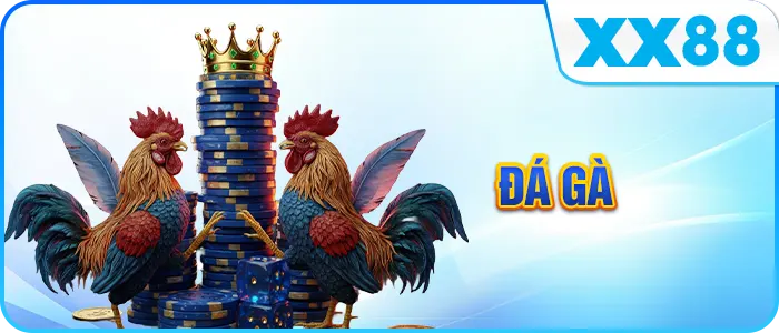 đá gà xx88.today